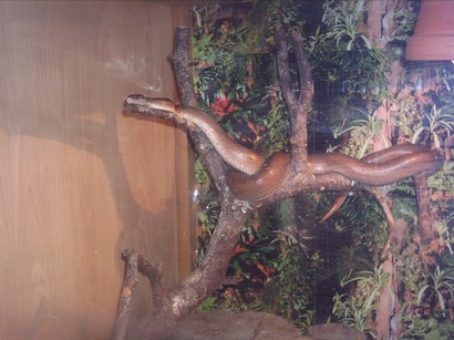 PICT0027.JPG